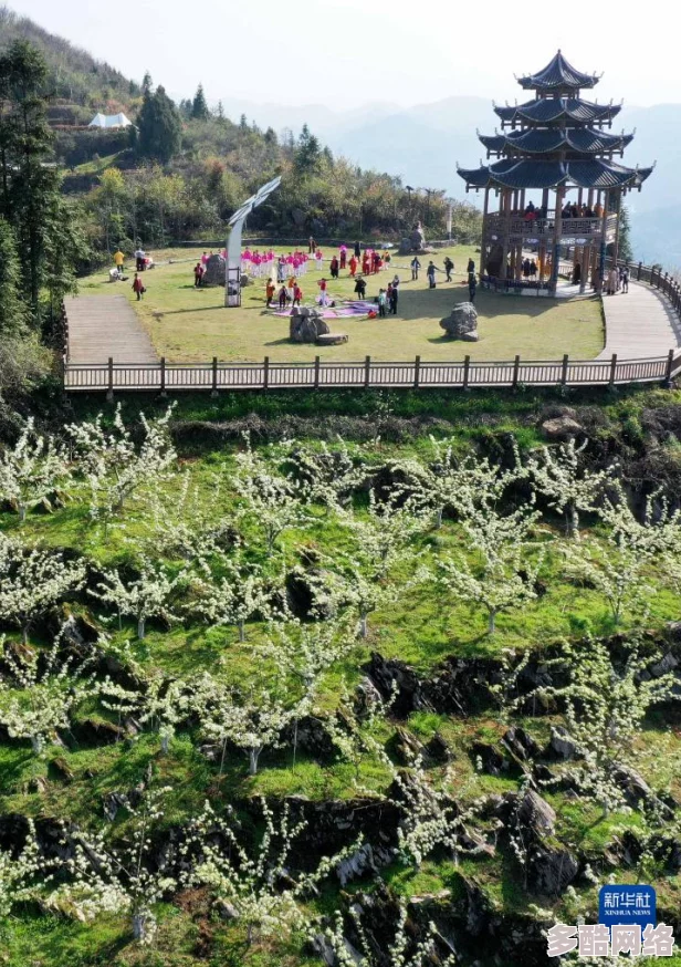 秋霞一级＊：最新动态显示该项目已进入关键阶段，预计将在下月完成重要里程碑，备受关注