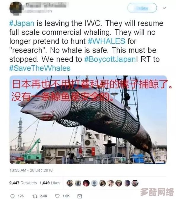 哦┅┅快┅┅用力啊┅┅动态图，最近在社交媒体上引发热议，网友们纷纷分享自己的看法和反应